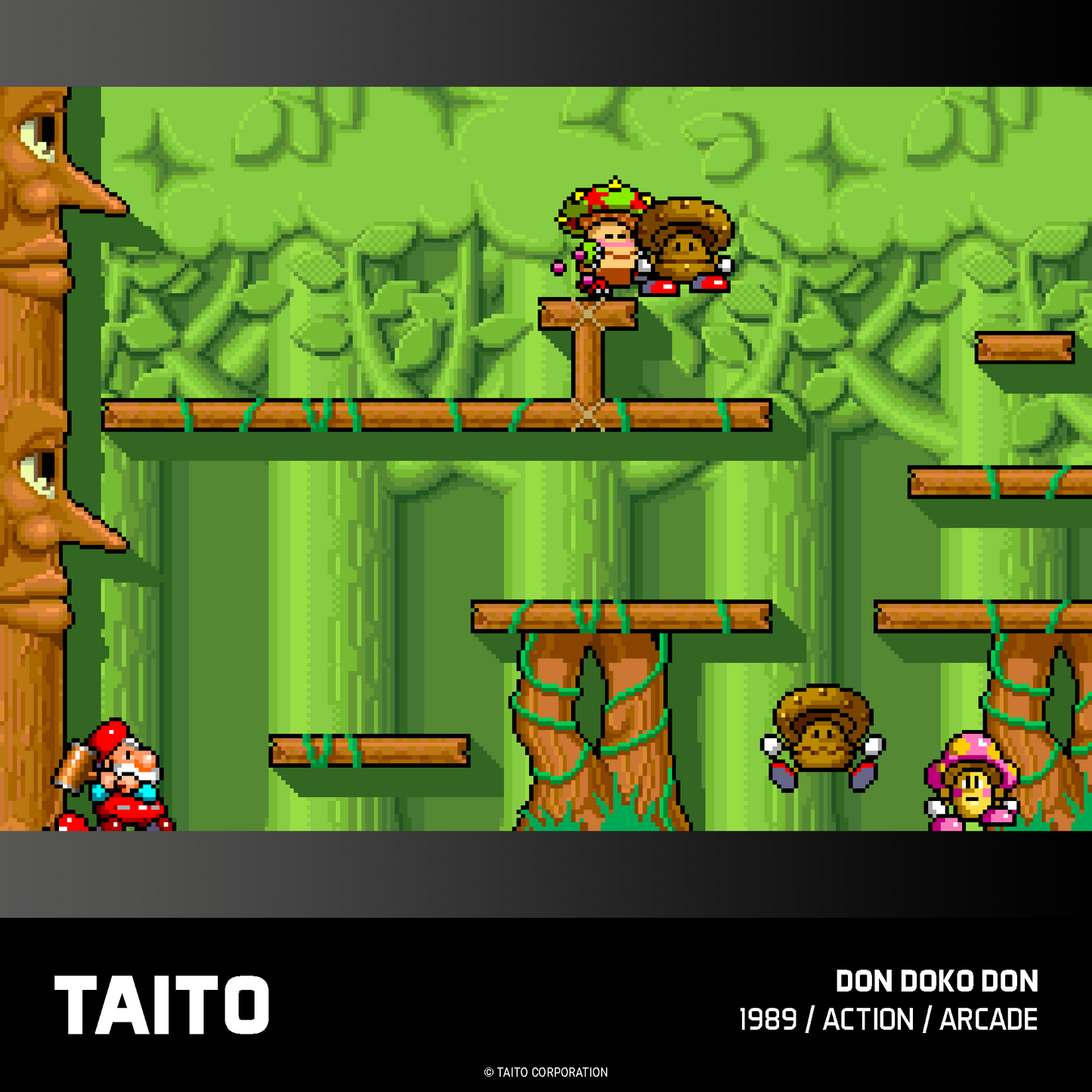 Evercade Taito Arcade Collection #1