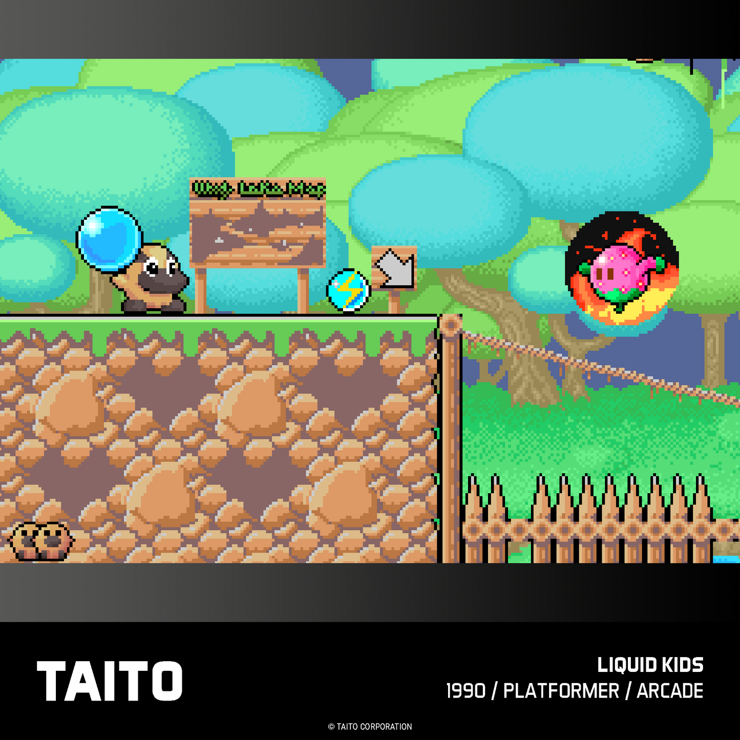 Evercade Taito Arcade Collection #2