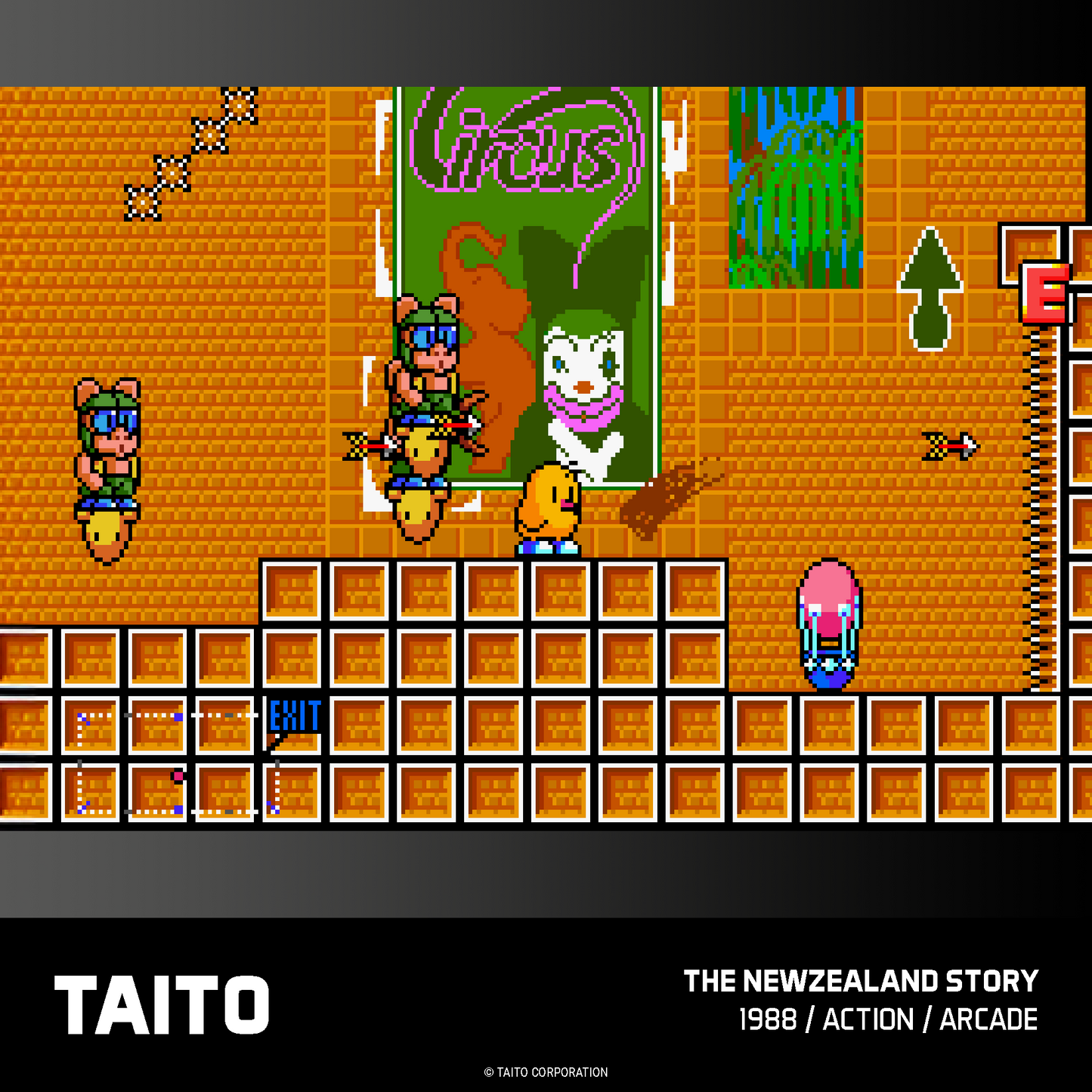 Evercade Taito Arcade Collection #2