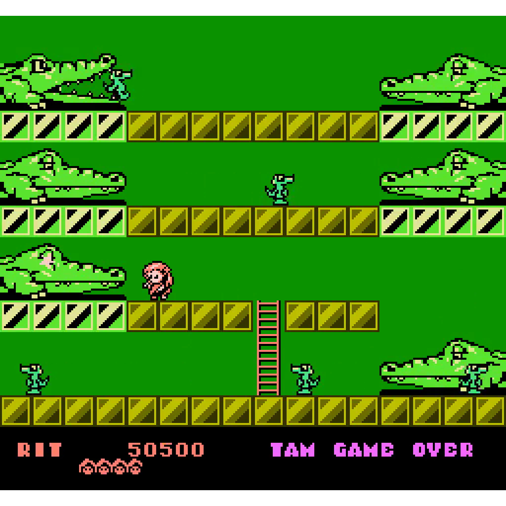 Rod Land - Collector’s Edition for NES®