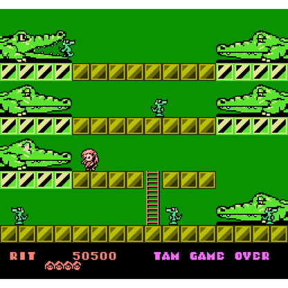 Rod Land - Collector’s Edition for NES®