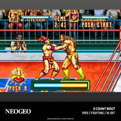 Evercade NEOGEO Arcade Collection 4 for Game – CastleMania Games